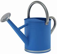 Bidon d'eau/pot en étain galvanisé naturel pour la décoration de jardin à la maison Arroseur intelligent Fournitures pour la maison et le jardin Arrosoir en métal