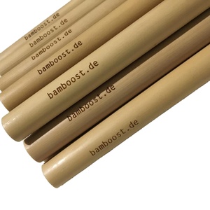 Ensemble de pailles jetables écologiques de haute qualité Logo personnalisé Accessoires de voyage en fibre de bambou naturel d'ECO2GO VIETNAM - Product Image 3