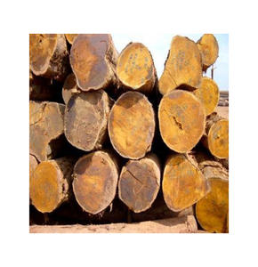 Troncos de pino para la fabricación de muebles con veta recta y calidad consistente para producción de alta gama, compra al por mayor - Product Image 2