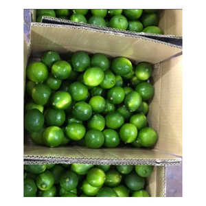 Limones y limas versátiles fabricados en Vietnam, Lima fresca/Lima verde natural de alta calidad - Product Image 2