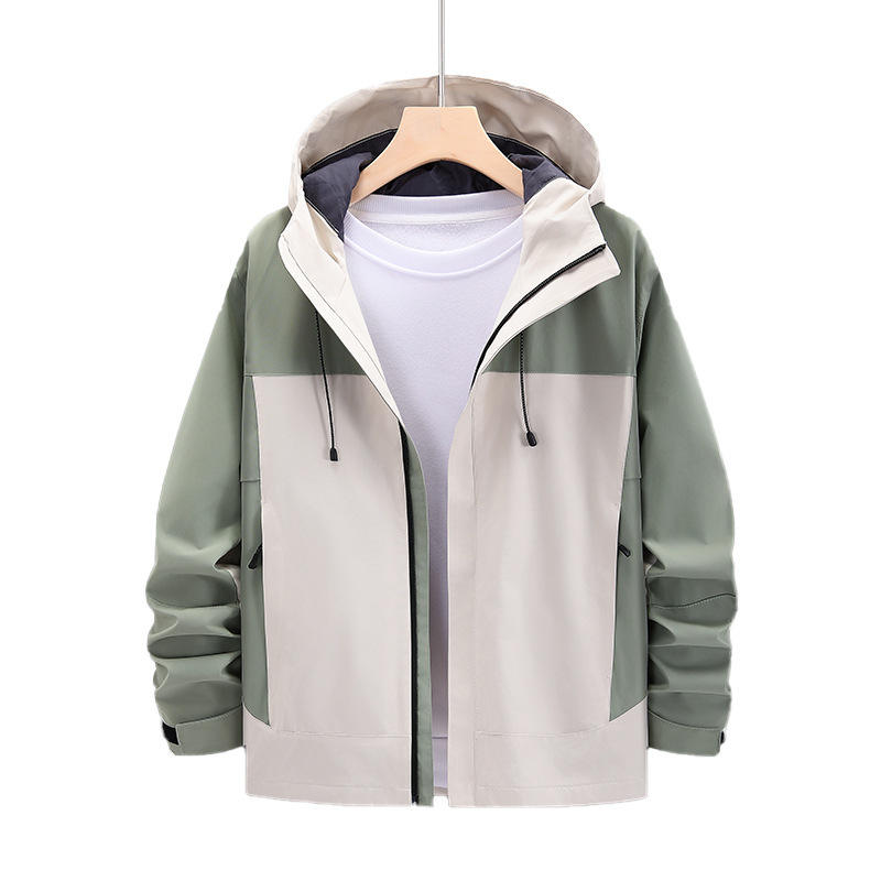 สีเทาอ่อนอบอุ่น + สีเขียวปราชญ์