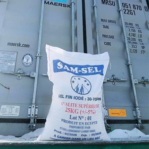 Sal de Mesa Blanca Refinada Sam Sel en Polvo 25kg, Iodada, Fina, 99.8% de Pureza, Grado Alimenticio, Certificación ISO HACCP, Alta Pureza - Product Image 5