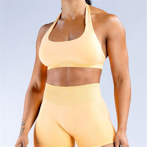 Top Trending Item Sujetador deportivo Entrenamiento Sujetador deportivo para mujeres Sujetador deportivo sin costuras de alta calidad Servicio OEM con logotipo personalizado - Product Image 5