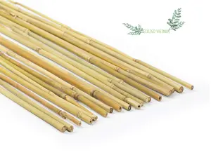 植物用柔性竹棒/用Eco2go制造的越南优质竹子支撑花园用竹棒