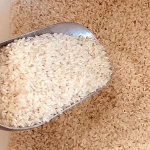 Natural Arborio Rice High Quality Short Grain Rice Creamy Texture Best Supplier Bulk Food Grade Rice - Product Image 5