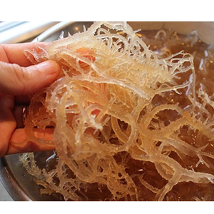 ต้นมอสจากทะเลตากแดดธรรมชาติสีทองจาก Eucheuma สำหรับตลาดส่งออก - Product Image 2