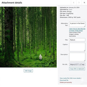 Développement de sites Web professionnels avec WordPress pour des solutions de présence numérique évolutive et un support des fonctionnalités de plugin - Product Image 2