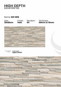 Azulejos de Porcelana para Elevación de 300x600 mm, Arquitectura Exterior - Product Image 5