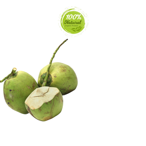 Le goût ultime de la noix de coco fraîche du Vietnam - Product Image 3