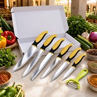 Ensemble de couteaux de cuisine 6 pièces en acier inoxydable, couteau de chef avec éplucheur, boîte cadeau de luxe, couteaux pour la cuisine à domicile, vente en gros