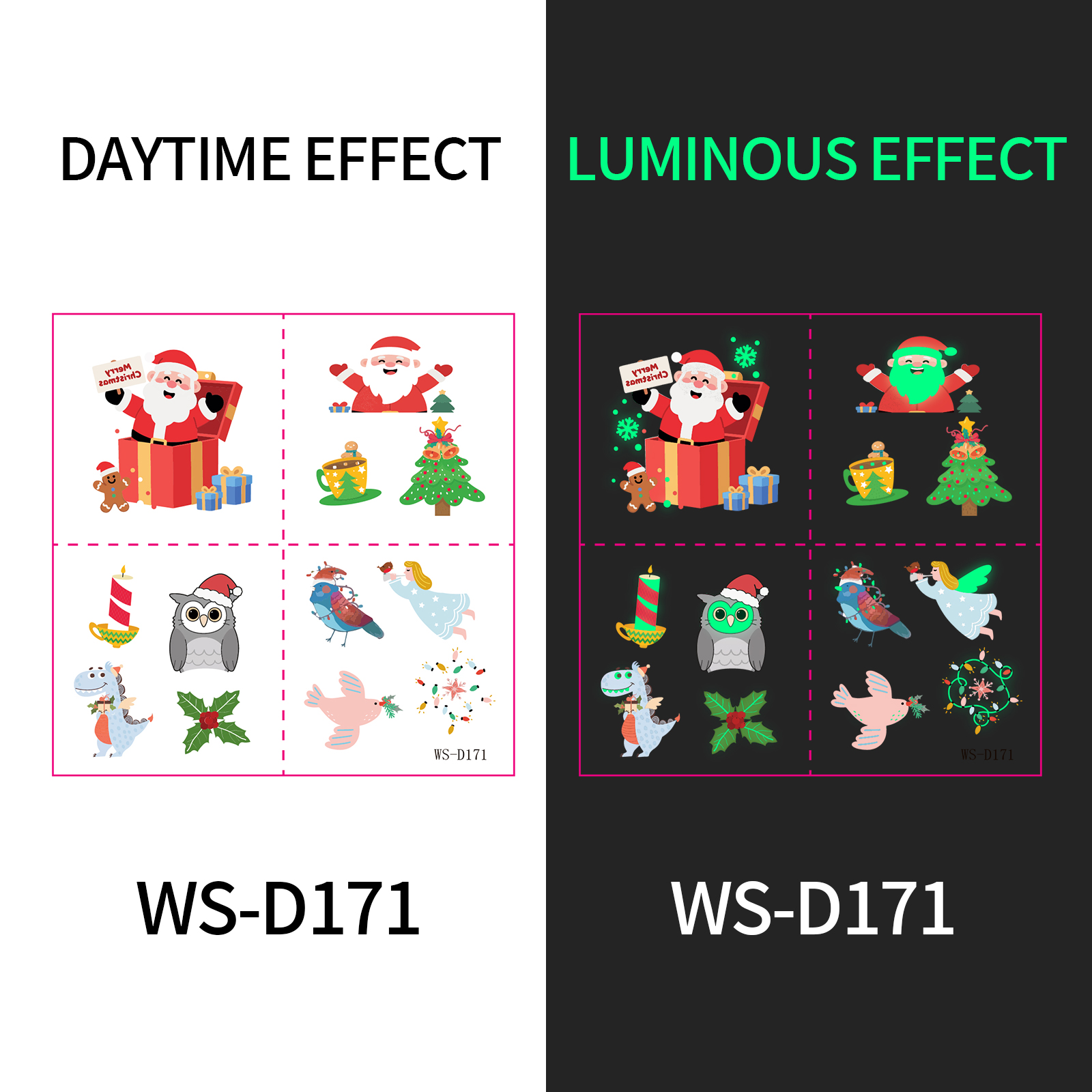 WS-D171