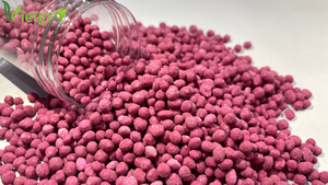 Engrais composé NPK 14-14-14 - Fabricant vietnamien - Engrais granulaire - Couleur : Rose - Product Image 3