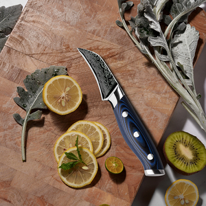 Couteau de chef en acier Damas de haute qualité à 67 couches, fait à la main, extra-affûté, compatible lave-vaisselle, pour pique-nique, épluchage de fruits, manche G10 - Product Image 4