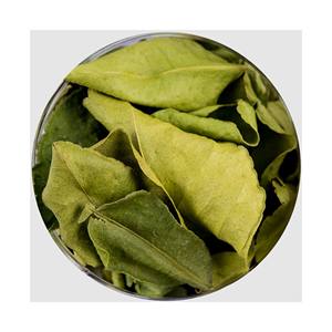 Hoja de lima Kaffir seca de sabor superior/hoja de limón seco de Vietnam 99 Gold Data - Product Image 1