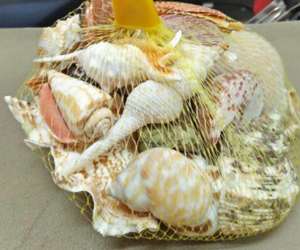 กระเป๋าเปลือกหอยตกแต่งธรรมชาติขัดเงาสินค้าพรีเมี่ยมจากเวียดนามจัดส่งรวดเร็วโรงงานเครื่องประดับ DIY ส่งตรงจากโรงงานทั่วโลก - Product Image 2