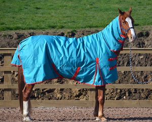 Tapis pour chevaux OEM/ODM, équipement de marque privée, respirant, Stable, couvertures pour chevaux, au meilleur prix compétitif - Product Image 1