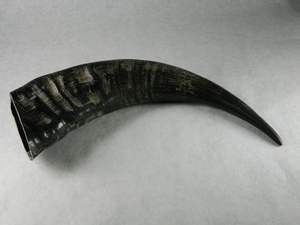 HIGH STANDARD QUALITY INDIAN VIKING DRINKING HORN WITH NATURAL Colour Carved Antique Viking Drinking Horn Christmas - Product Image 6