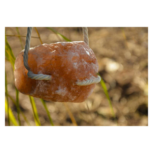 Individuelles Logo OEM Premium-Qualität Himalaya-Rosa-Salz zum Lecken aus Pakistan Maßgeschneiderte Verpackung Pferdefutter Lecksalze - Product Image 1