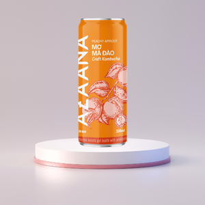 Premium Peach Apricot Kombucha Tea Best Vietnam-Origin Refrigerado Listo para beber Refresco concentrado - Product Image 1