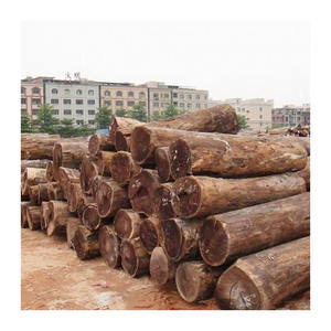 Approvisionnement en vrac de grumes wengé solide fourni avec une livraison fiable - Product Image 4