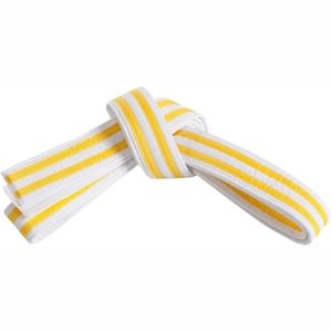 Vente en gros de ceinture de karaté imprimée personnalisée de qualité professionnelle bon marché nouveau type d'équipement d'arts martiaux - Product Image 5