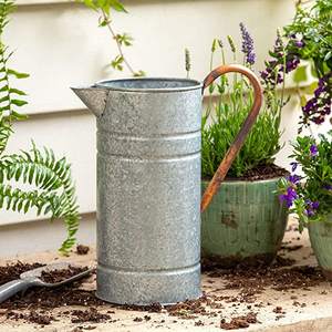 Arrosoir en métal de grande qualité de vente aspect patiné arrosoir en métal de taille de forme personnalisée pour arroser les plantes utilisation de jardin - Product Image 4