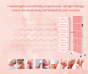 Mesin Lampu LED Inframerah Berdiri GLPE APO-240 850 Nm, 660 Nm, 630 Nm, 810nm, 830nm, 940nm, 1060 nm Panel Lampu Merah Setengah Badan - Product Image 2