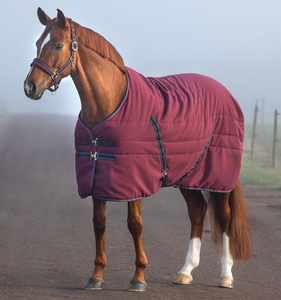 Las mejores alfombras estables para interiores para clima frío mantienen los caballos calientes y cómodos con una fácil limpieza - Product Image 6