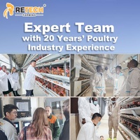 Retech Nouveau Design Cage d'élevage automatique à 2 niveaux pour reproducteurs avec système d'alimentation et d'abreuvement
