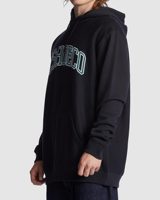 Sweat à capuche décontracté pour homme DC SHOES, streetwear, coupe ample, polaire chaud, imprimé lettres classiques, manches longues