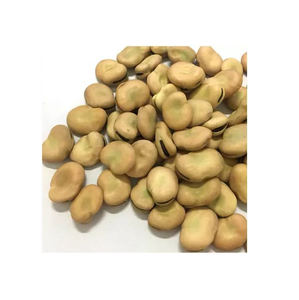 Vente en gros de haute qualité Le meilleur prix de l'épluchage des fèves Nouvelle récolte de fèves Haricots pelés - Product Image 4