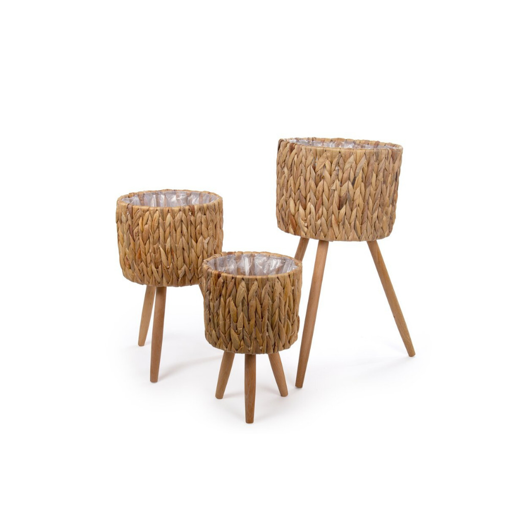 ธรรมชาติ