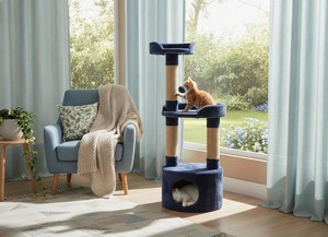 Rascador Amistar de alta calidad para gatos y gatitos de todas las razas y tamaños. - Product Image 2