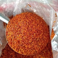 Vietnam bumbu panas bubuk cabai merah dari Vietnam | Kualitas tinggi bubuk cabai merah