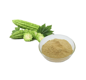 ผงมะระออร์แกนิก | อาหารเสริมสมุนไพรเพื่อสุขภาพ | ส่งออกจำนวนมากจากเวียดนาม - Product Image 5