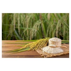 2022 Precio barato arroz jazmín y arroz fragante de grano largo de Bélgica - Product Image 1