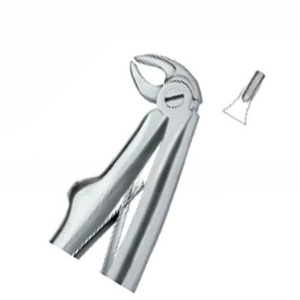 Forceps d'extraction dentaire Fig.137, manuel, haute qualité, logo personnalisé, instruments dentaires en acier inoxydable, certifié CE, Nawaz Surgical - Product Image 1