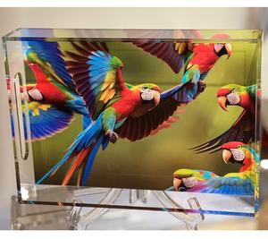 ถาดพลาสติกอะคริลิคใสทรงสี่เหลี่ยมผืนผ้าถาดใส่รูปภาพแสดงสีสันสดใส - Product Image 2