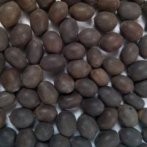 Best Price Superb Quality of Natural Frozen Natural Lotus <b>Nut</b> - Product Image 3