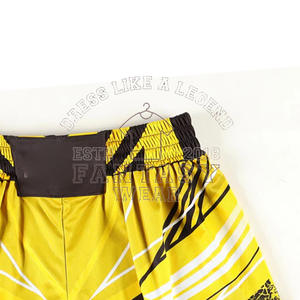 FANTASY WEAR 2026 Vente en gros de shorts de combat MMA personnalisés imprimés en couleur, shorts d'arts martiaux imprimés en couleur, certifiés CE ISO - Product Image 5
