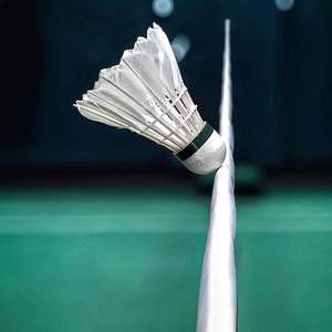 Volant de badminton en plumes d'oie de super classe, niveau de tournoi BWF, pour l'entraînement des joueurs professionnels - Product Image 1