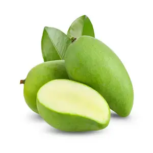 Yeşil taze Mango/V.A.F tarım üretimi/yeşil ve sarı Mango toptan fiyat için