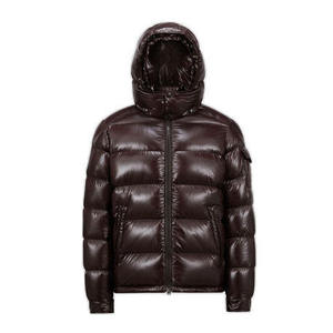 Chaqueta Acolchada Unisex de Lona Brillante con Capucha Desmontable, Abrigo de Invierno Aislante, Prenda Exterior Brillante con Logotipo Frontal, Resistente al Viento - Product Image 1