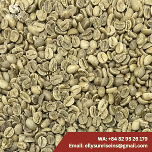 เมล็ดกาแฟ ผลิตเมล็ดกาแฟดิบ ARABICA / ROBUSTA จากเวียดนาม - WHATSAP 0084387264621 - Product Image 2
