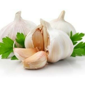 WHOLESALE <b>FRESH</b> <b>GARLIC</b> / VIETNAMESE WHITE <b>GARLIC</b> CHEAP PRICE HIGH QUALITY EXPORT - Product Image 2