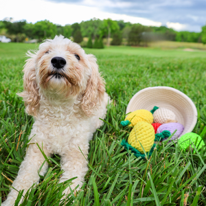 Jouet à mâcher artisanal pour animaux de compagnie en corde de fibres naturelles jaune pimenté, unique pour chiens et chats - Product Image 3