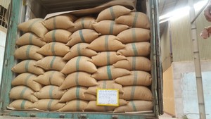 เมล็ดกาแฟอาราบิก้าและโรบัสต้าคั่วผสมเกรดพรีเมียม AA จากเวียดนาม คุณภาพสูง 100% ธรรมชาติ แบรนด์เบลล์ - Product Image 2