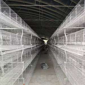 Jaulas de batería comerciales Gallinas ponedoras Equipo de alimentación automática Nuevas jaulas de capa de pollo tipo A de acero - Product Image 3