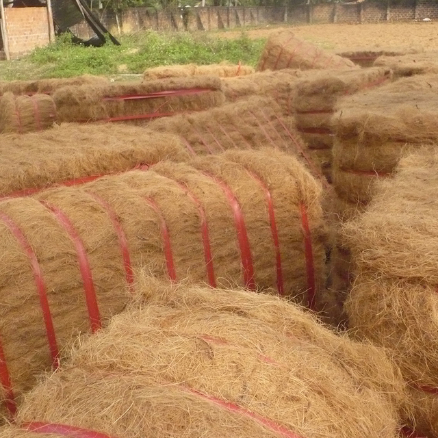 Hot Sale High Quality Coconut Fiber Competitive Price Sustainable Coir Fiber From Viet Nam Wholesale for Agriculture Export
