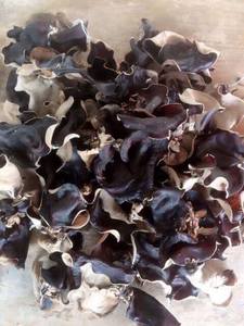 Hongo negro Hongo Natural Madera seca Hongo Premium Ingrediente culinario Exportación al por mayor de Vietnam - Product Image 4